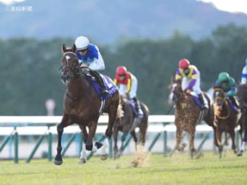 【朝日杯フューチュリティS】キャリアより伸びしろ重視！好走確率上昇中の波乱の主役とは！？