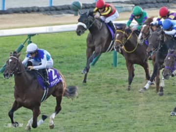 【朝日杯フューチュリティS】3年連続で3着と健闘！相手に必ず押さえておきたい馬とは！？3連単を的中させる相手馬の狙い方