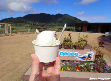 徳之島ツーリングの新名物！島素材ジェラートがおいしい「道の駅 とくのしま」【鹿児島県】