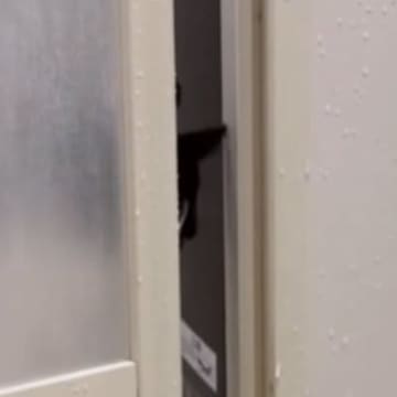 呼んでも来なかった猫→『泣き真似』をしてみると…『胸キュン必至』の瞬間が71万再生「優しい彼氏さんやな」「イケニャンすぎる」と絶賛