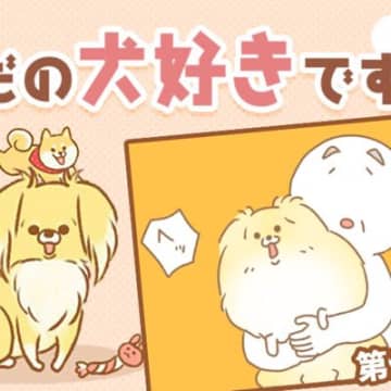 ただの犬好きです。【第341話】「満足度」