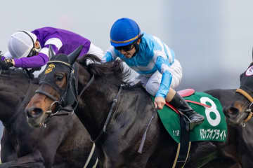 【ターコイズS】松若「もっと上を目指して頑張りたい」ドロップオブライトが重賞2勝目