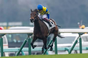 【新馬/中山6R】4億円ホースは4着敗退…伏兵リュクスパトロールが逃げ切る