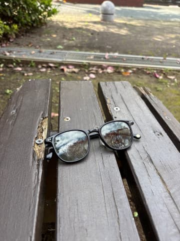 自分はVIPだと勘違いして散歩【もう、普通の散歩には飽きている／ワクサカソウヘイ】