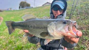 水温低下で遠賀川はクリアアップ。そろそろスモラバの吊しが有効かも。柳川クリークはまだいろんな釣りができそうで…。