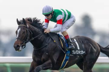 【ひいらぎ賞】断然人気クレパスキュラーがデビュー2連勝