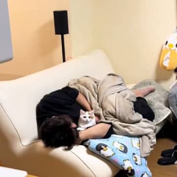 朝ごはんを待っていた猫ちゃん→飼い主が『寝落ち』した結果…可愛すぎる『絶妙な表情』が14万再生「助けを訴えてるｗ」「あれ？ってｗ」