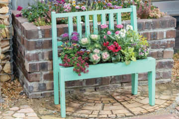 12月に作って春まで長く楽しむ！【オニちゃんの冬の寄せ植え】2選