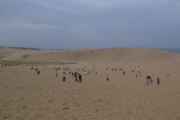 鳥取県人は東北県人の気質とどことなく共通している？【県と県民性の面白雑学】