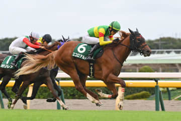 【朝日杯FS】2戦連続の上がり最速！サウジアラビアRC覇者エコロアルバが豪快に突き抜けるか！？