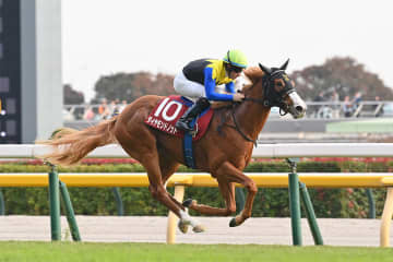 【朝日杯FS】未来のスピードスター・ダイヤモンドノット 福永祐一調教師×C.ルメール騎手のタッグで2歳マイル王へ