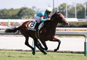 ２歳のマイル王決定戦はカヴァレリッツォを本命視　勝負根性、鞍上の連続騎乗は大きなプラス【朝日杯FS】