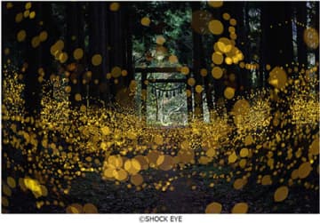 SHOCK EYE写真展：和景讃歌　The Power of Japanese Scenery