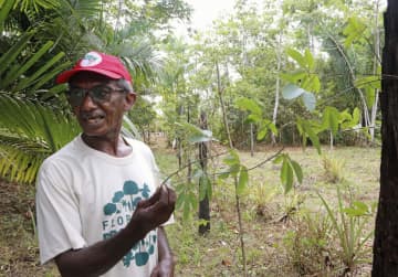 日系移民、森林農法アマゾン再生　地球温暖化防止にも一役