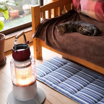 猫が過ごしがちな『お気に入りスポット』7選　好んでいる理由や環境の整え方