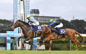 カヴァレリッツォが優勝　競馬の朝日杯FS
