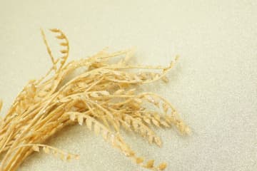 今日12月21日は2025年最後の「最強一粒万倍日」！超ラッキーデイにおすすめな開運アイテム5選