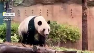 パンダに別れ惜しみ…開園前から4000人以上が行列　上野動物園“予約なし1分観覧”最終日
