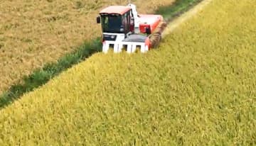 いつまで続く？コメ価格高騰の裏にある「概算金」の上昇　市場なき取引の限界と 問われる“主食”の持続可能性