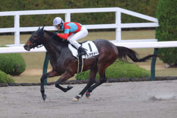 【阪神8R】武豊デルアヴァーが鮮やかな差し切りV…2、3着波乱で3連単は300万円超え