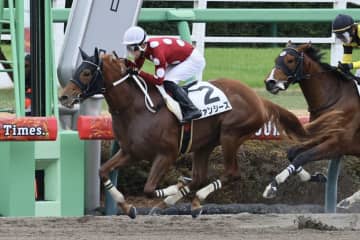 【新馬/中山6R】ルヴァンスレーヴ産駒 ファンシーズがデビューV