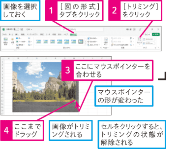 【Excel Q&A】画像の不要な部分を取り除きたい