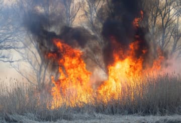 80代のおじいちゃんが “野焼き中” に体に炎が 燃え移り自ら通報 “消防車6台” が出動する騒ぎに ネットでコメント殺到「爺さんには悪いがこれは自業自得。においもつくし、はっきり言ってやめてほしい」「高齢者は住宅地の中でも強風でも、道路が見えないほど煙が出ても平気で野焼きをします」