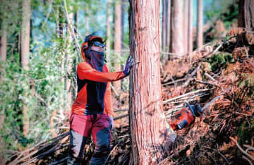 林業を仕事にする in 中国エリア｜【岡山県新見市】「日本の山にもう一度目を向けて」、現場で体験する林業の魅力