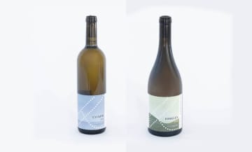 ノーベル賞晩餐会で注目されたスウェーデンワイン｜南部を代表するワイナリー「Kullabergs Vingård」と日本で味わえる白ワイン