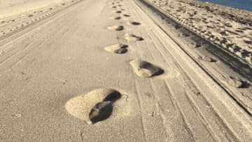 村上宗隆、ホワイトソックス合意を報告　「ヤクルトファンはずっと味方」の声殺到…足跡の写真に決意込める