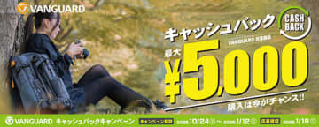 最大5000円還元！ VANGUARDキャッシュバックキャンペーン終了まであと1カ月