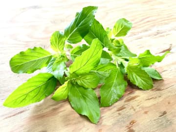 【アーユルヴェーダの女王】ホーリーバジルがもたらす心と体の癒やし：現代女性の不調を整える奇跡のハーブ