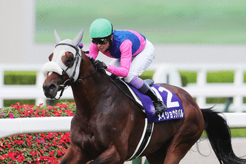 【有馬記念／サイン馬券】高市首相ばりに働く女傑レガレイラか、リアル・ロイヤルファミリーのメイショウタバルか