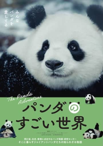 上野動物園のパンダはどこへ向かうの？“愛らしいパンダ”の一生を追うドキュメンタリー『パンダのすごい世界』本ビジュアル&ティザー予告解禁