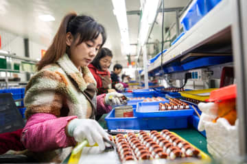 「農村工房」整備が振興の原動力に　中国湖南省常徳市