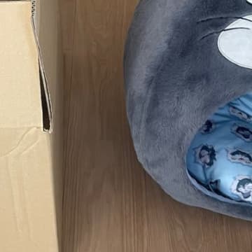 新しいペットハウスを買ってもらった猫→しかし、『向かった先』は…『猫あるある』に共感の声「分かるｗ」「ほんと好きだよね」と209万表示