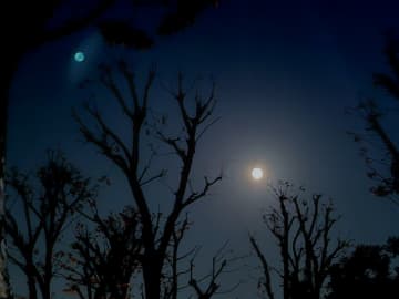 2025年12月22日は「冬至」かぼちゃ・ゆず湯・「ん」のつく食べ物で運気アップ！