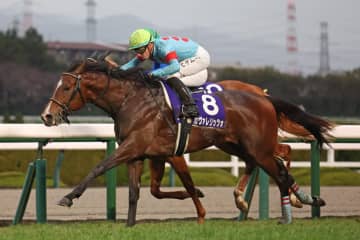 スリリングな激戦を制したカヴァレリッツォ　JRAを代表する２人の外国人騎手が火花を散らした極上の手腕【朝日杯FS】
