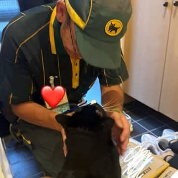 『天気が悪い日』クロネコヤマトの配達員さんを猫ちゃんがお出迎えした結果…心温まるエピソードに２万いいね「クロネコ同士ｗ」「遊びにｗ」