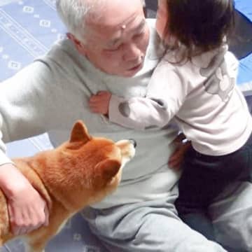3ヵ月ぶりに『おじいちゃんの家』に帰省→2歳の女の子と犬が…まるで『孫がふたりいるような光景』が尊すぎると58万再生「優しさ溢れてる」