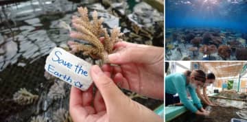 SDGs第一人者の田瀬和夫氏が監修・同行、ベルトラが恩納村での「大人の修学旅行」販売