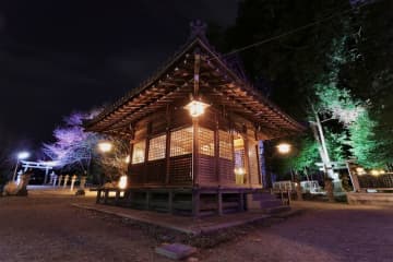【滋賀・立志神社】“日常にある特別な空間”　境内ライトアップと限定御朱印で迎える2026年