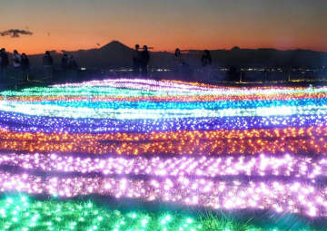 夕景と光の共演　マザー牧場でイルミネーション開催中　クリスマス・年末年始も