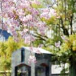 京都文教大学　2026年度入試より「入学金納入期日延期制度」を導入