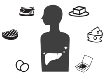 「筋肉を増やす」だけで“勝手にやせる体”になれるワケ【新脂肪肝 代謝復活ダイエット】