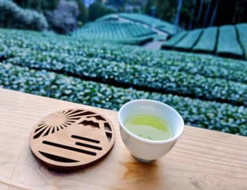 【天空のお茶会体験！】冒険気分でお茶文化の原点を知る製茶工場「志田島園」｜奥静岡