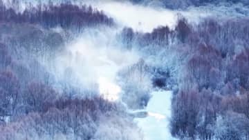 霧氷が大興安嶺地区の魅力に　中国黒竜江省