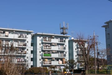 毎月12万円の年金だけでは生活できないため、公営住宅に入居希望です。入居基準の「政令月収」から見て、自分は対象になるのでしょうか？