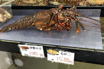 英国　ロブスターやカニを生きたまま茹でる行為を禁止する方針