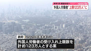 特定技能と育成就労の外国人材　 2028年度末までの上限を計123万人に　政府が算出
